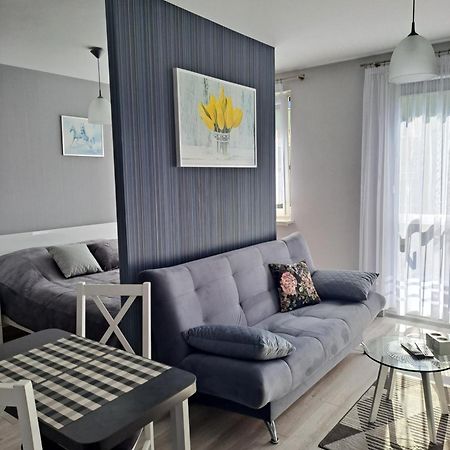 Studio Zabobrze Jelení Hora Exteriér fotografie